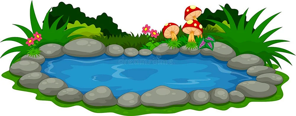 Teich mit Schilf und Seerosen