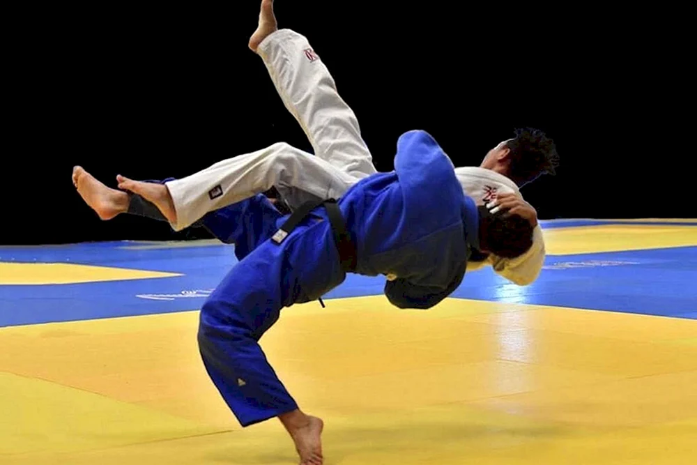 Buzuk Roman Sergeevich Judo