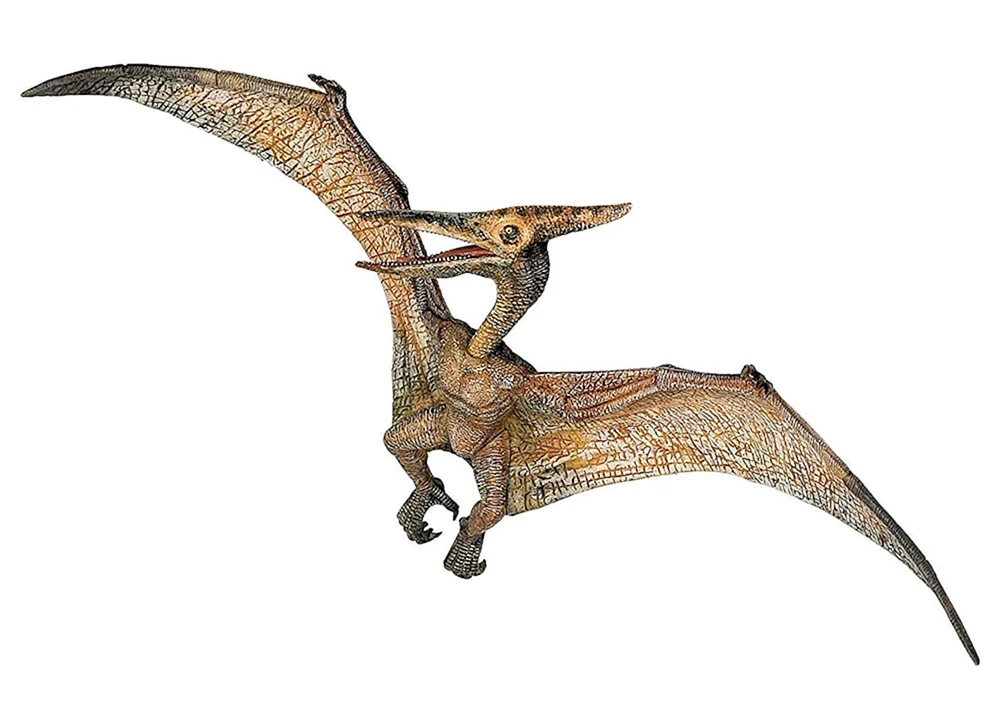Pteranodon
