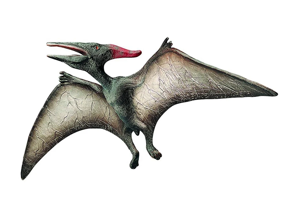 Pterodactyl Jurassic Park pteranodon pteranodon pteranodon pteranodon pteranodon pteranodon pteranodon pteranodon pteranodon pteranodon Burian pteranodon und Pterodactylus