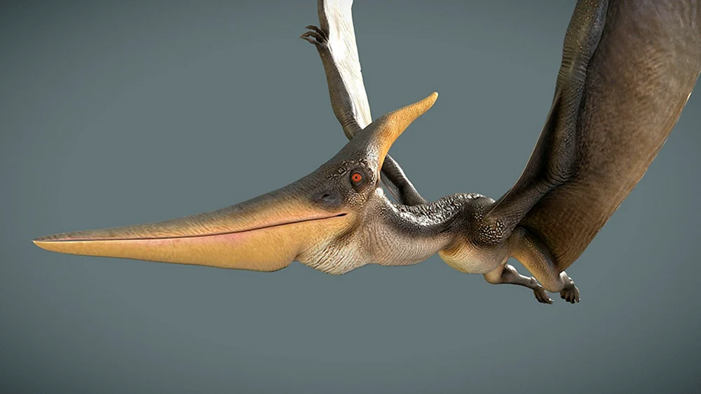 Ornithocheirus und Quetzalcoatl