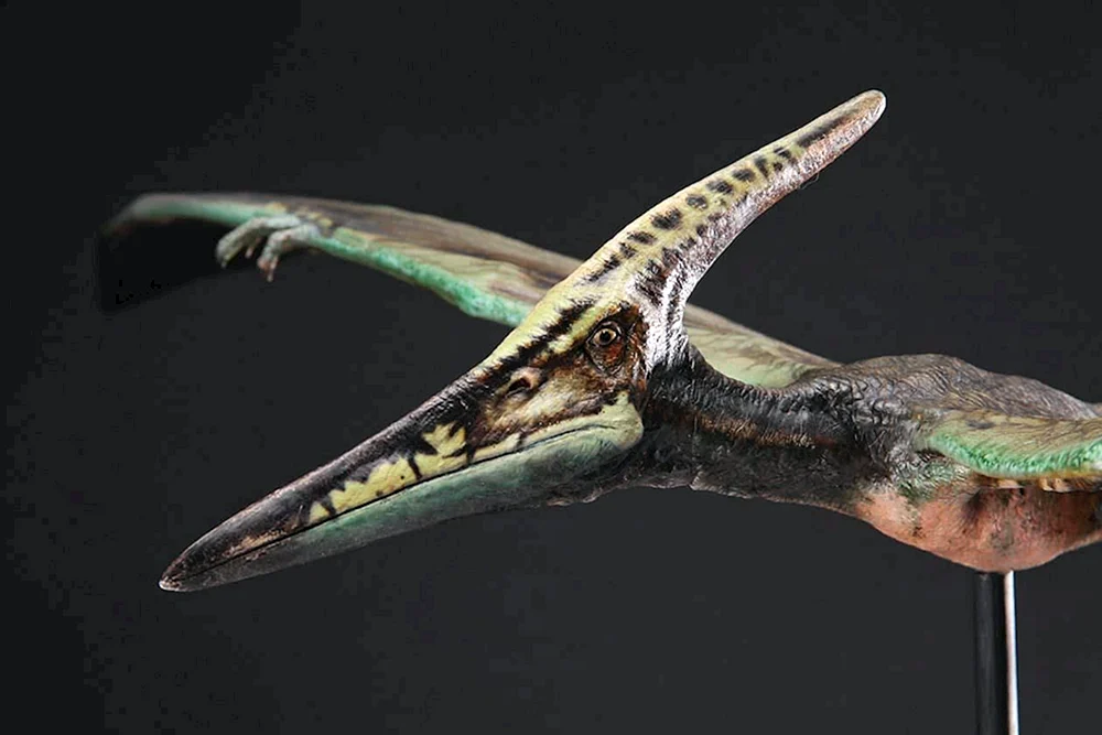 Pterodactylus Jurassic Park