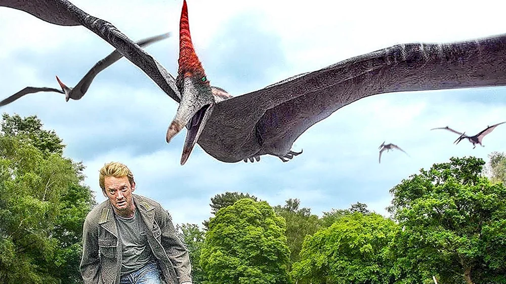 Pteranodon papo figurine 55006