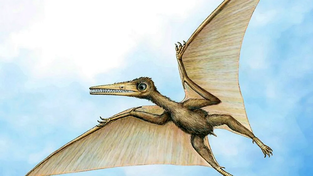 Ketzalcoatl pterodactyl