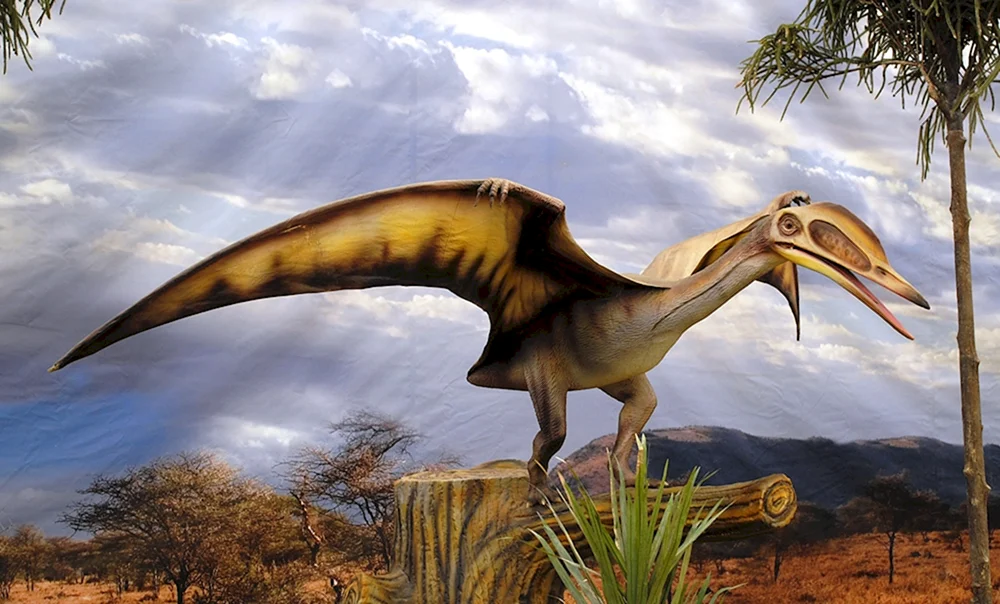 Pteranodon und Quetzalcoatl