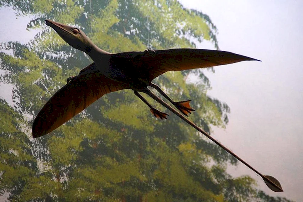 Pteranodon Jurassic. Park 3