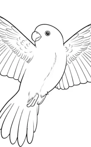 Vögel ausmalen