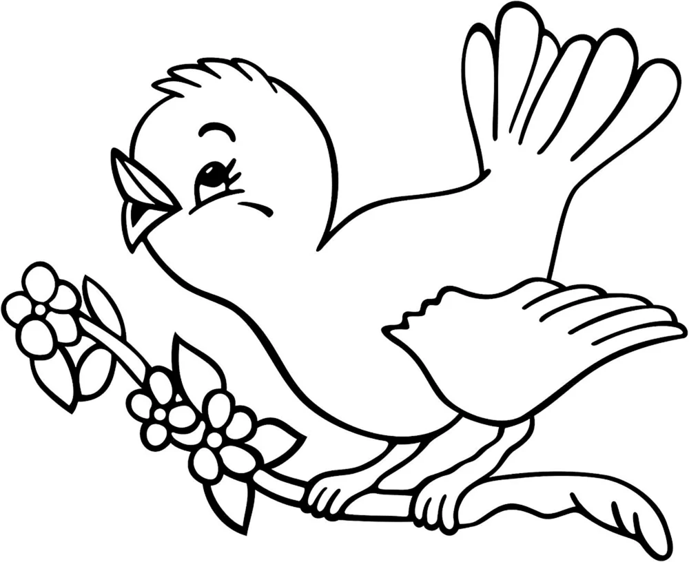 Vögel ausmalen