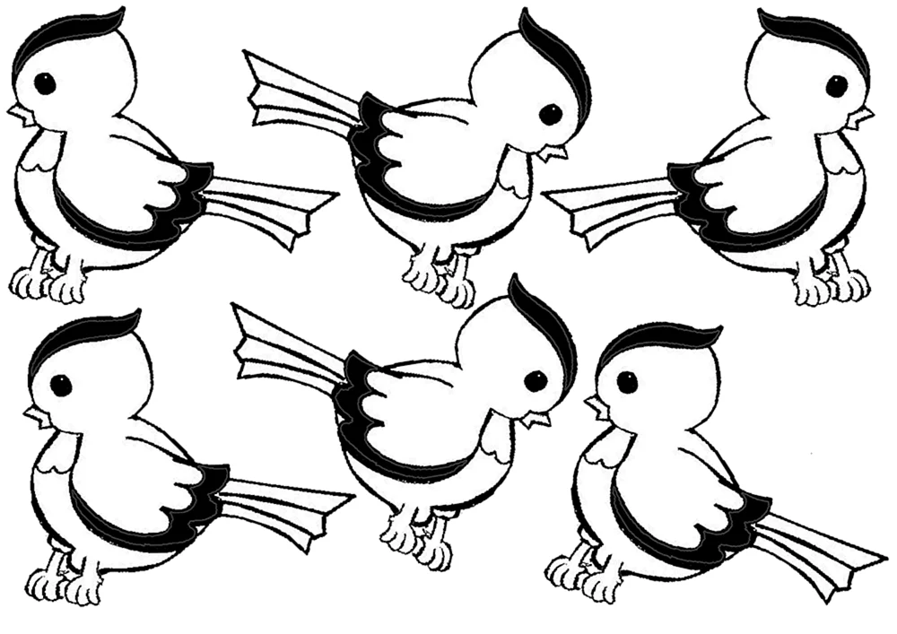 Vogelnadeln