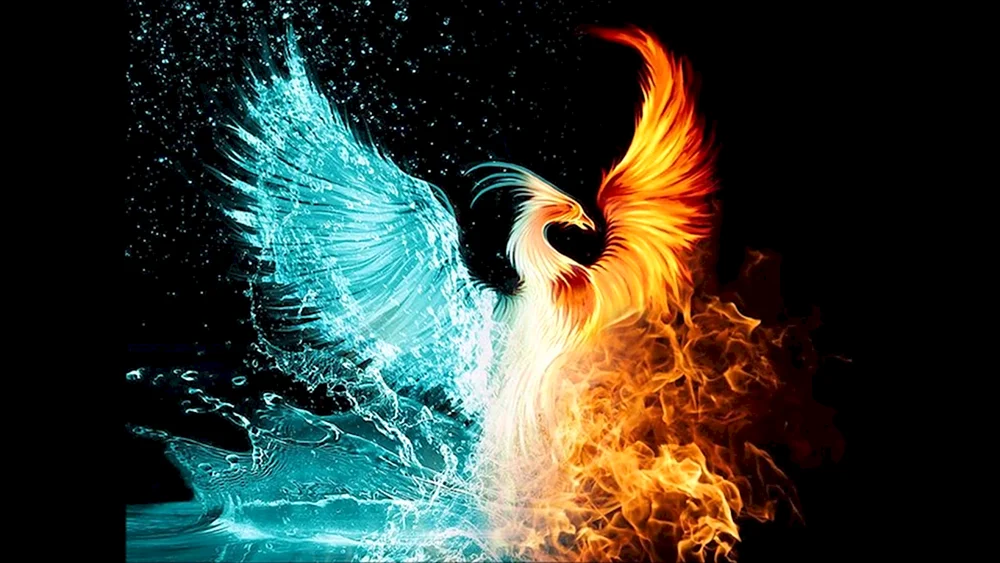 Der Bucklige Feuervogel
