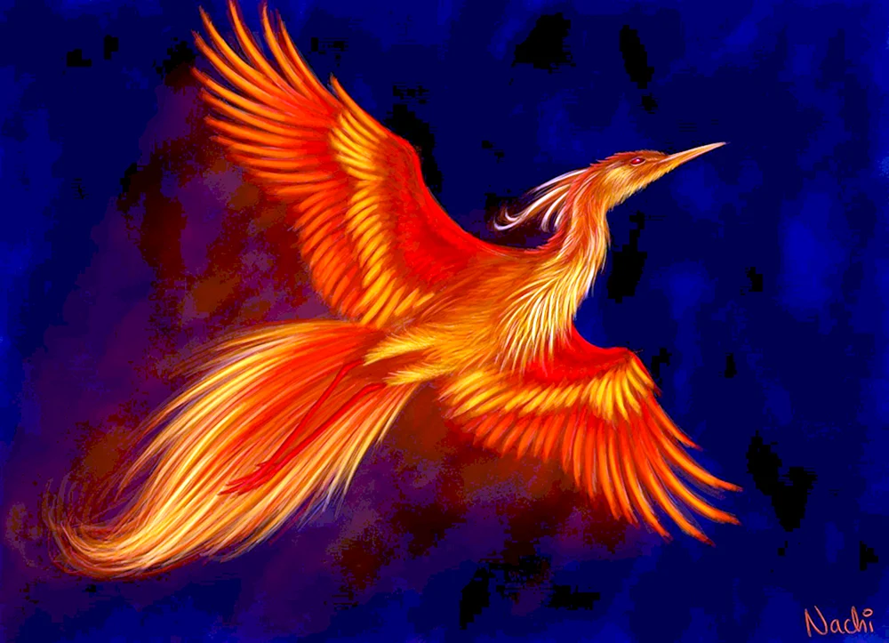 Der Phönix Feuervogel Feuervogel Feuervogel Feuervogel Feuervogel Feuervogel Feuervogel in der slawischen Mythologie
