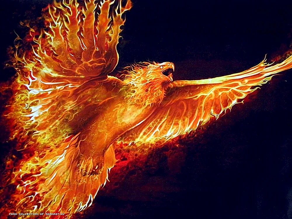 Phönix
