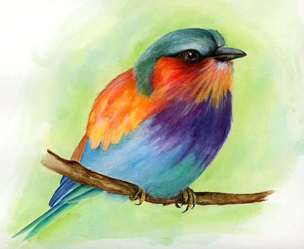 Chickadee-Malvorlagen für Kinder