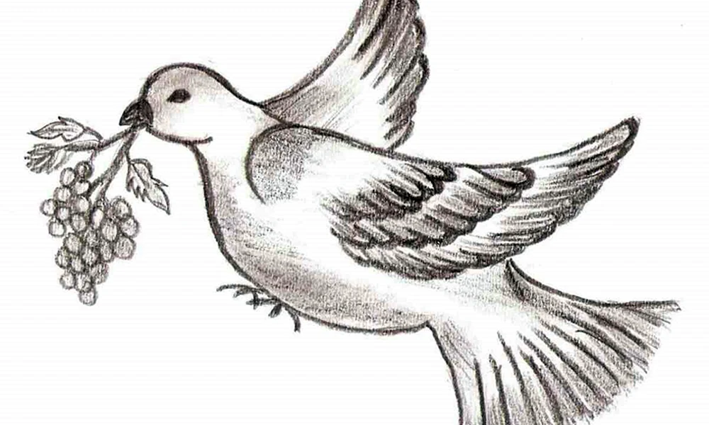 Vogelzeichnung