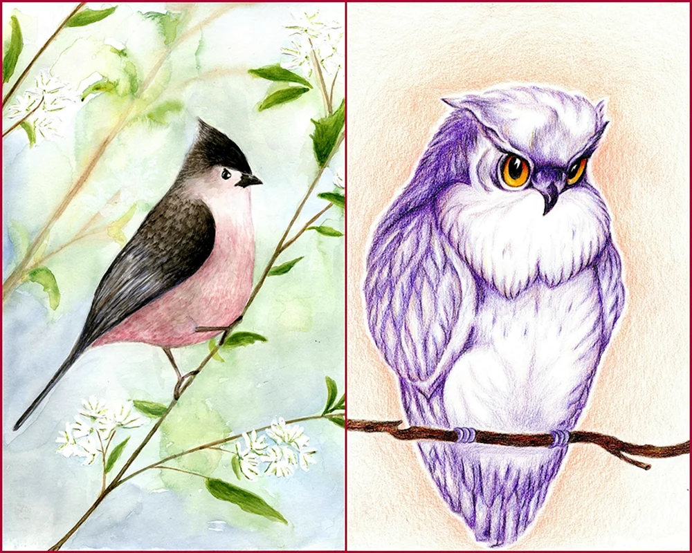 Chickadee ausmalen für Kinder