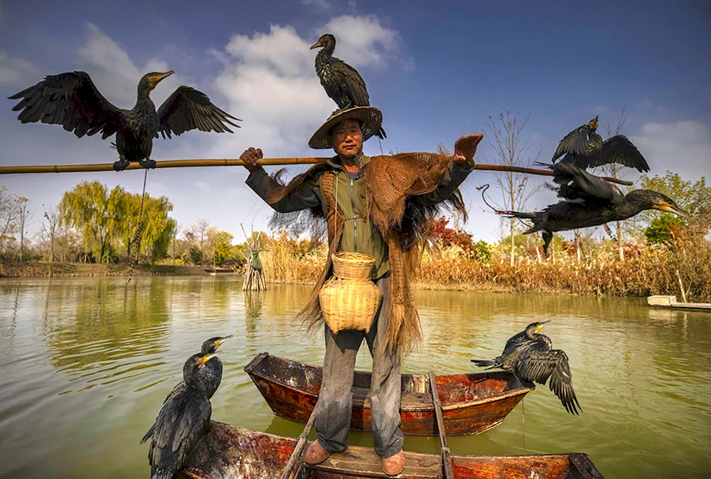 Vogelangler