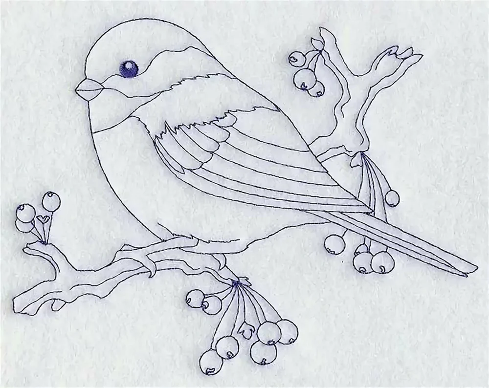 Vogelzeichnung