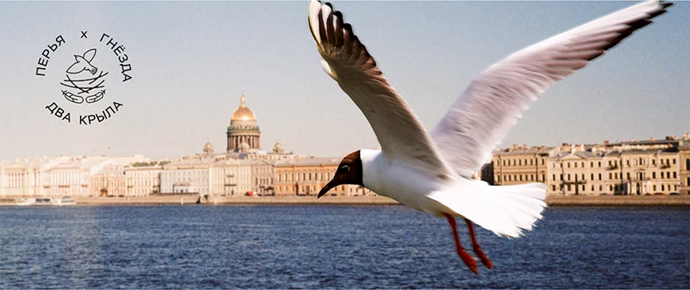 Vögel von St. Petersburg