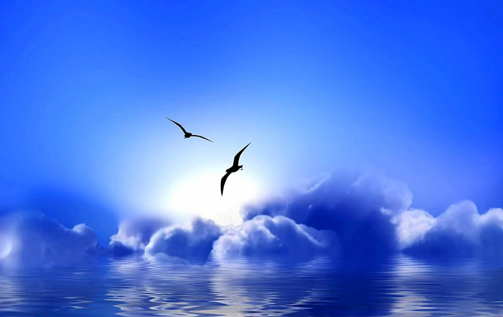 Vogel im Flug