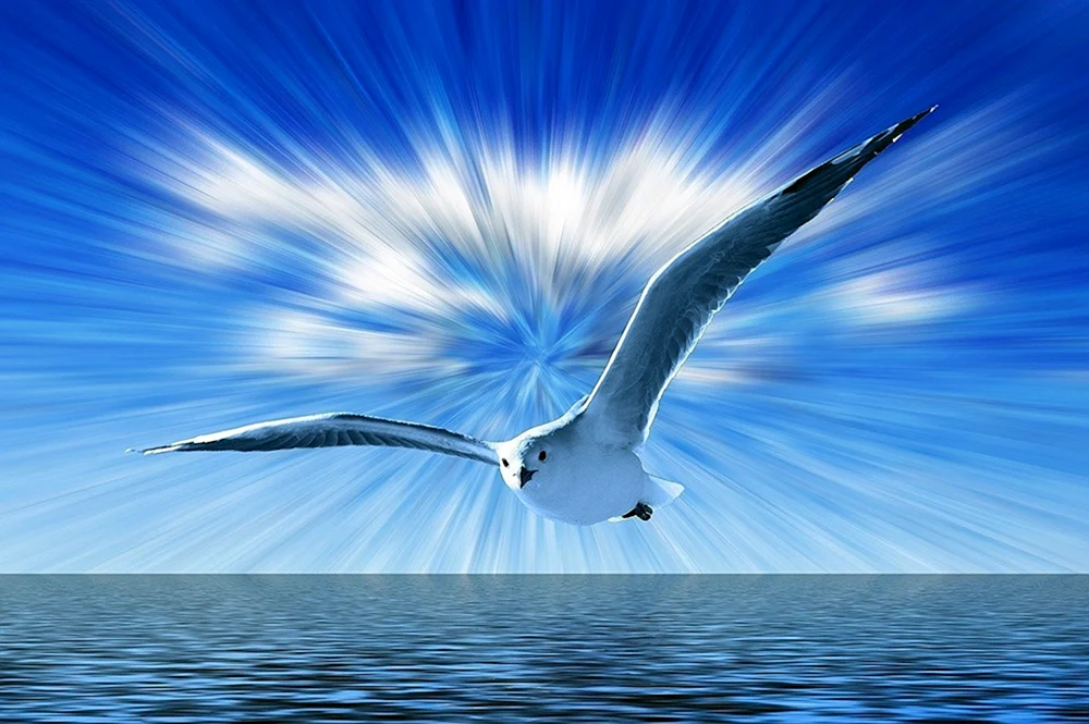 Vögel am Himmel