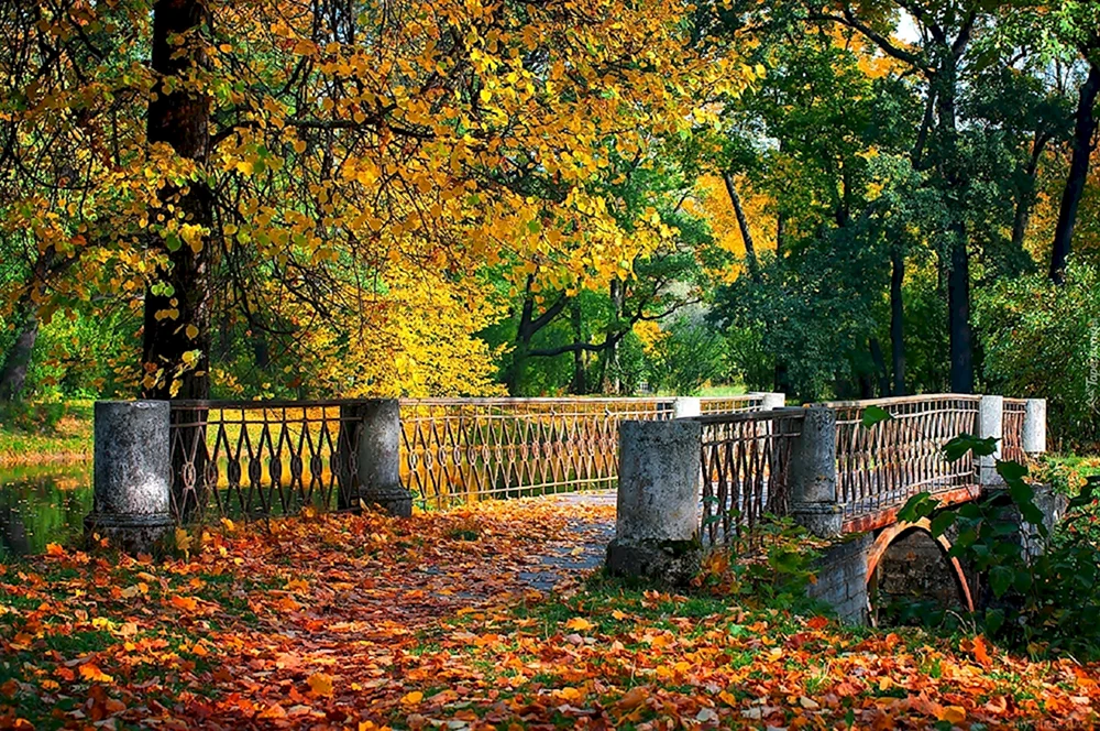 Park Monrepo-Brücke