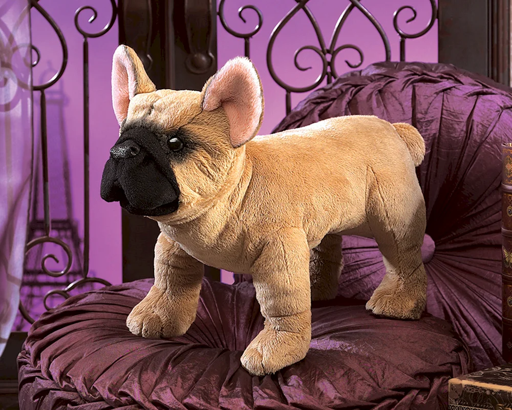 Fluffy Bulldogge