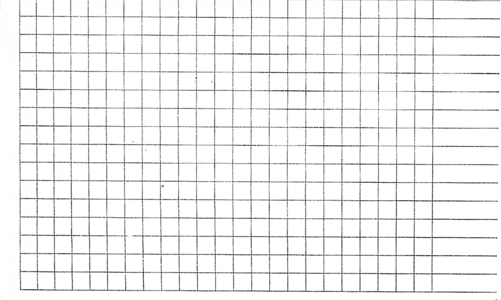 Kariertes Notebookblatt.