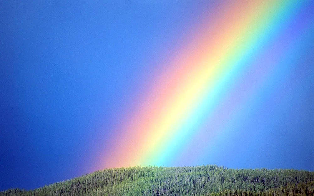 Regenbogen