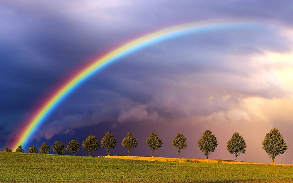 Regenbogen Real