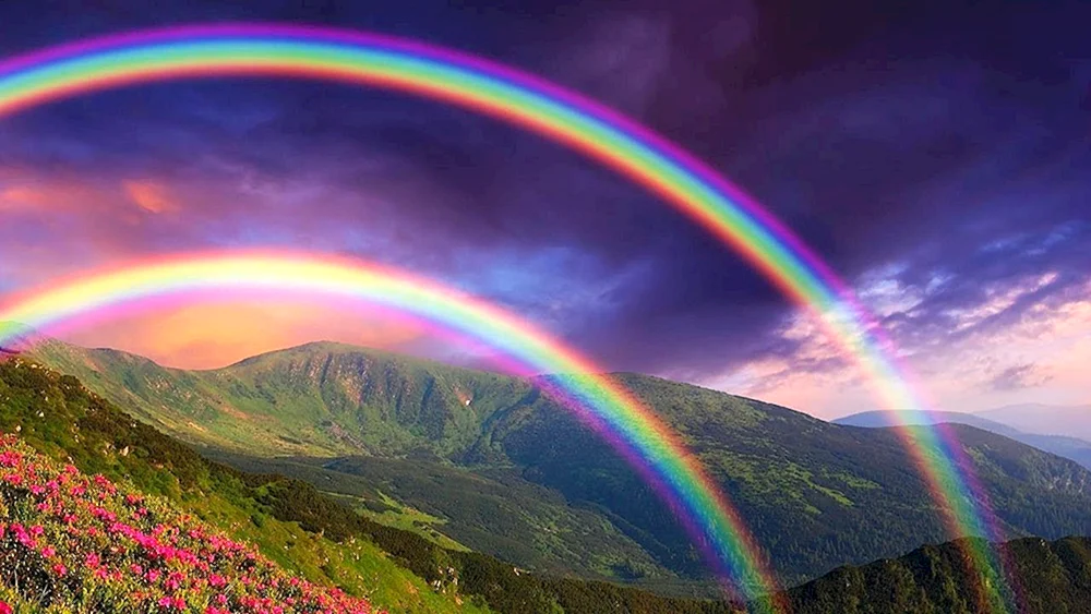 Regenbogen