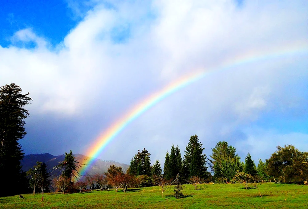 Regenbogen am Himmel