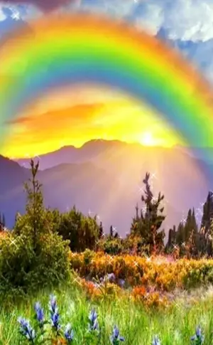 Regenbogen