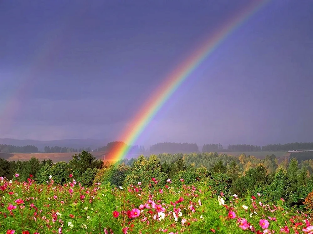 Regenbogen Landschaft