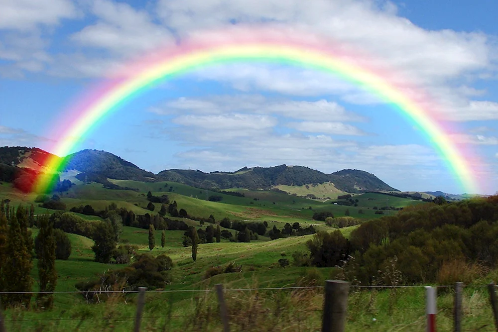 Regenbogen in der Natur