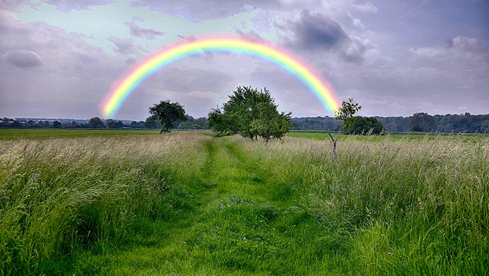 Regenbogen nach Regen