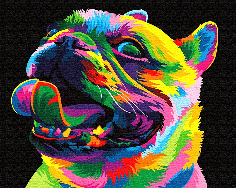 Regenbogen Mops