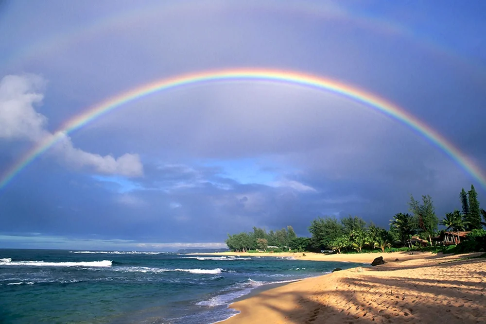 Regenbogen in der Natur