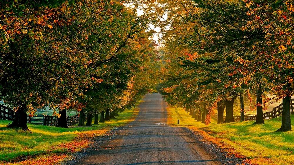 Frühherbst
