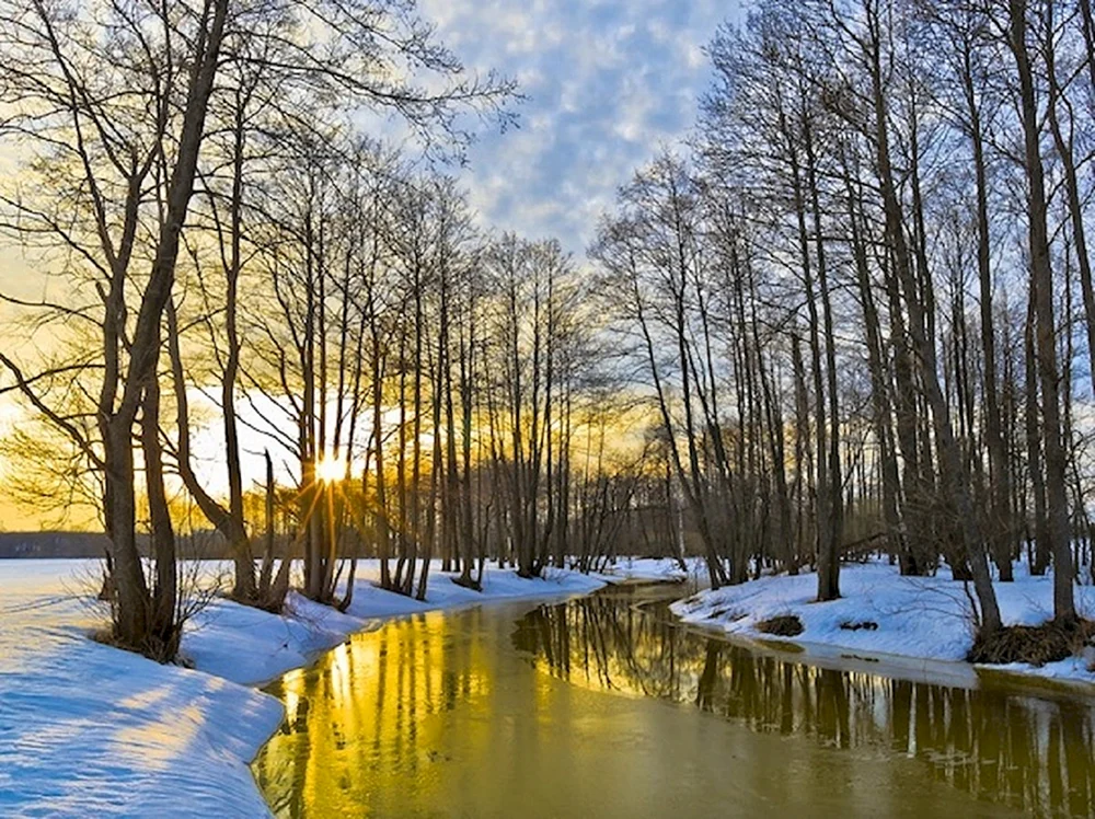 Vorfrühling