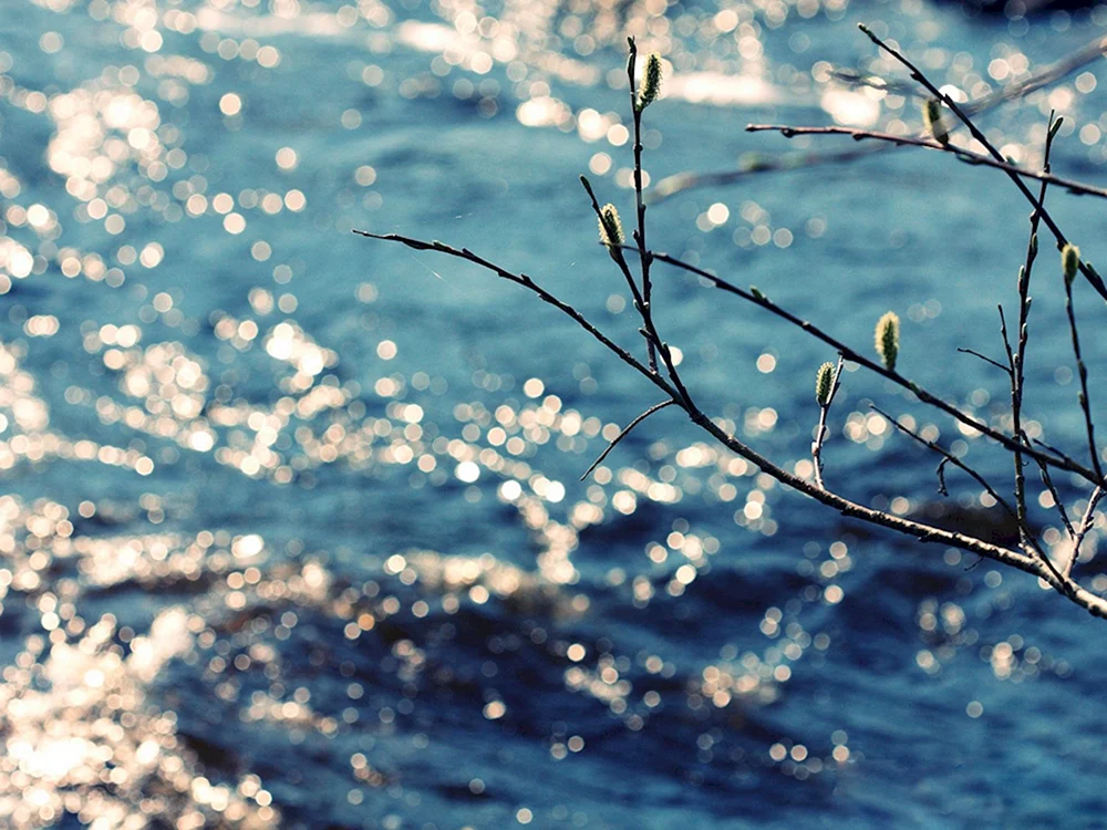 Frühlingscartoonhintergrund