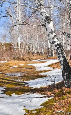 „Vorfrühling in Abramzewo“ Levitan