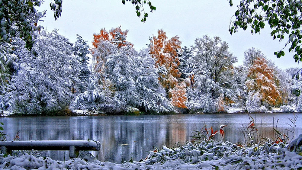 Frühwinter