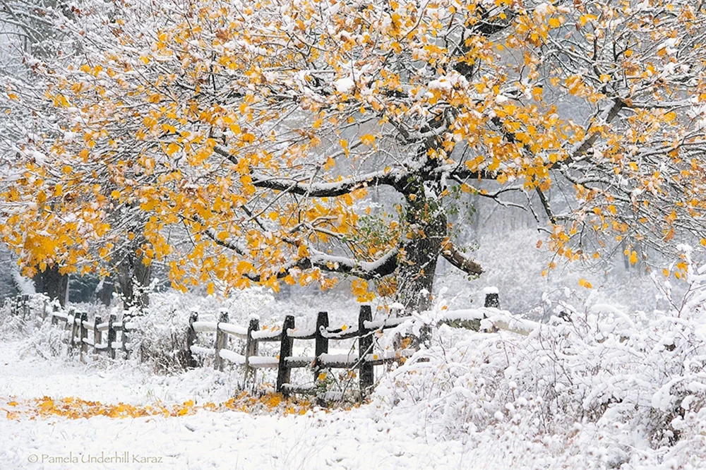 Erster Schnee