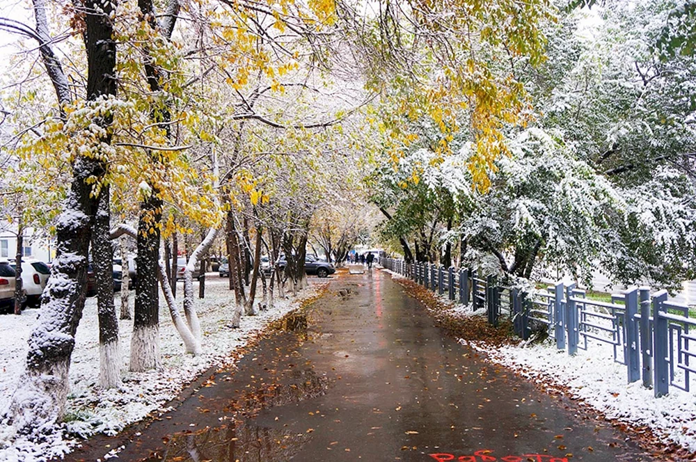 Herbst Winter