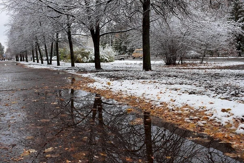 Spätwinter