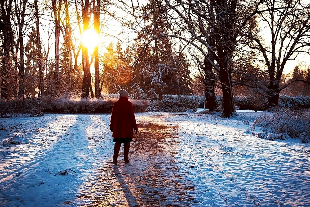 Frühwinter