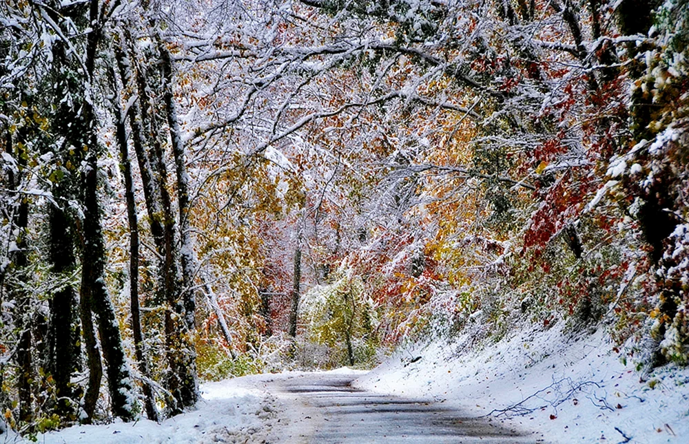 Frühwinter