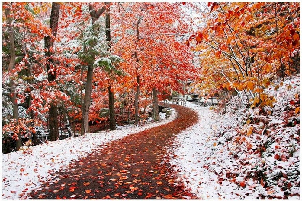 Erster Winter
