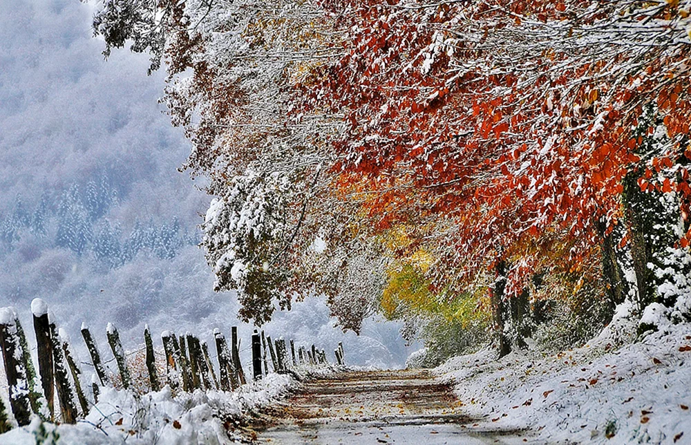 Erster Schnee