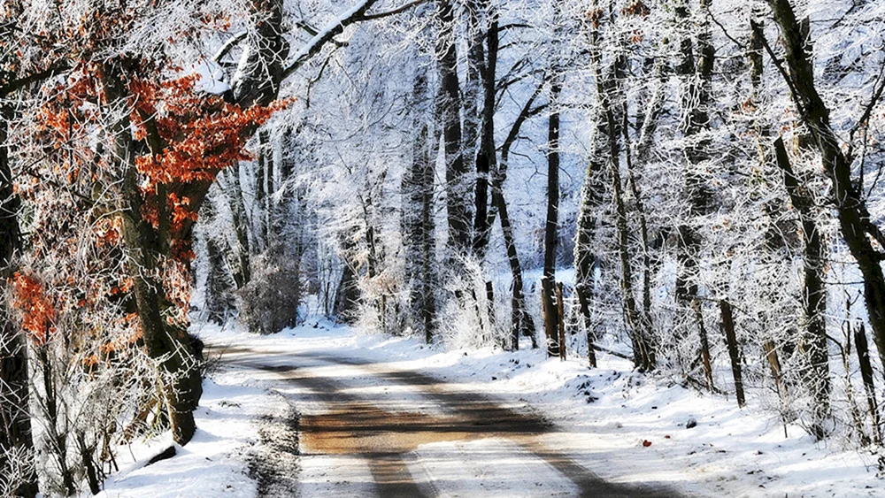 Erster Winter